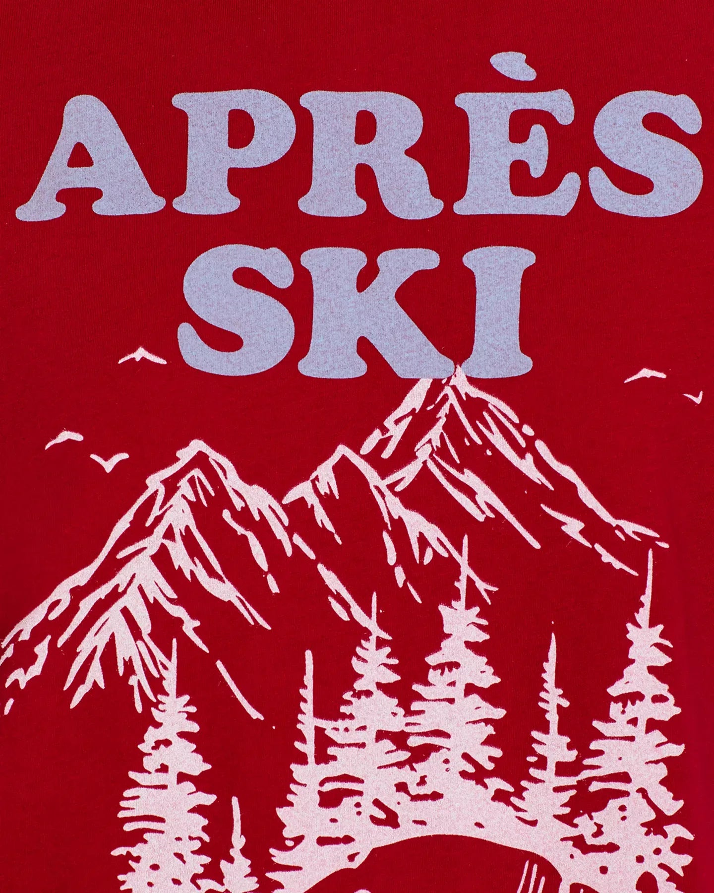 AQUA Aprés Ski Graphic Tee Top
